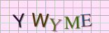 This is a captcha-picture. It is used to prevent mass-access by robots. (see: www.captcha.net)